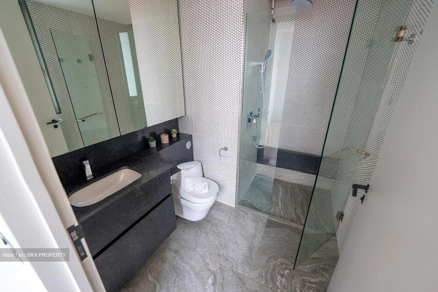 10 Evelyn (D11), Apartment #511924251